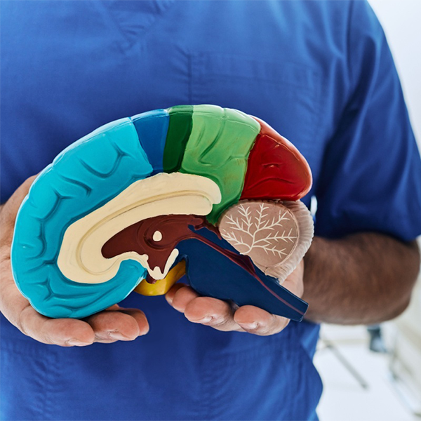 Cele mai eficiente exerciții de recuperare neurologică pentru pacienții post-AVC